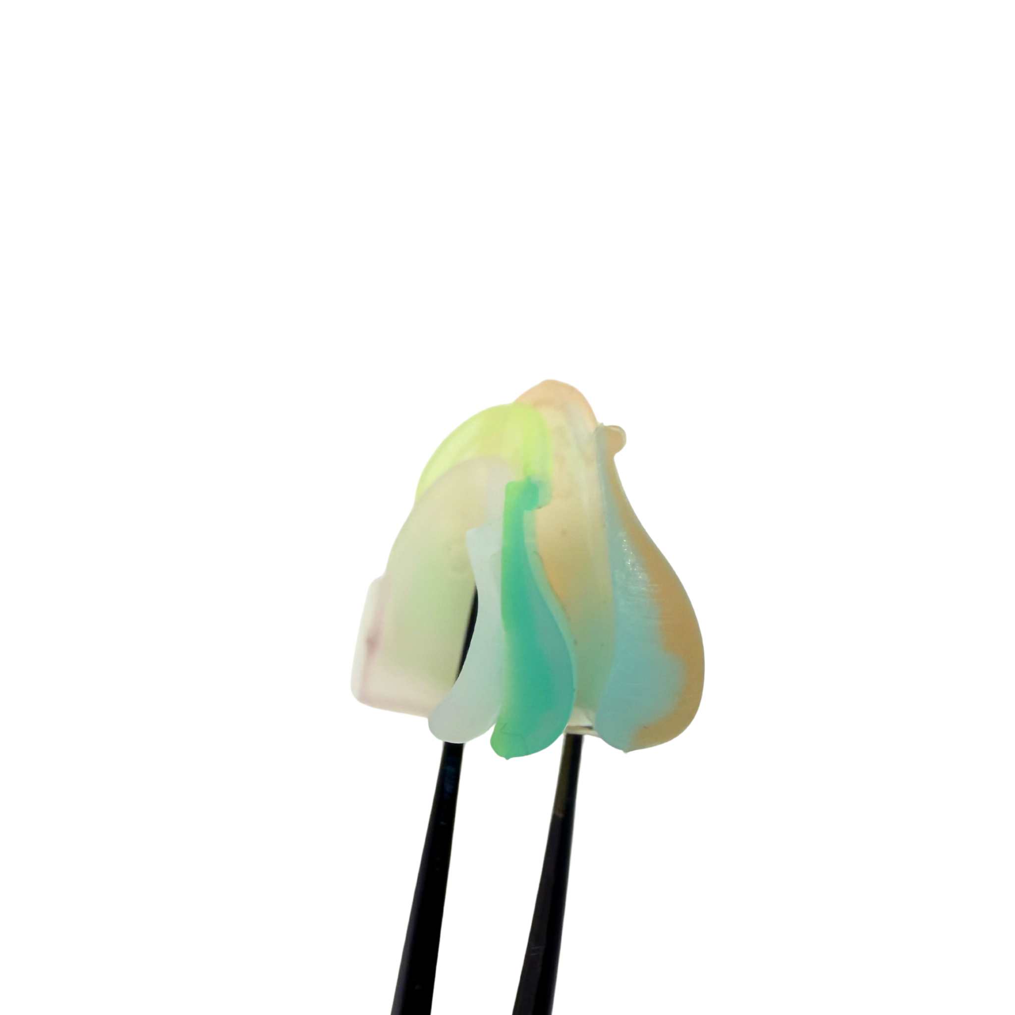 rainbow downdrop groessenvergleich
